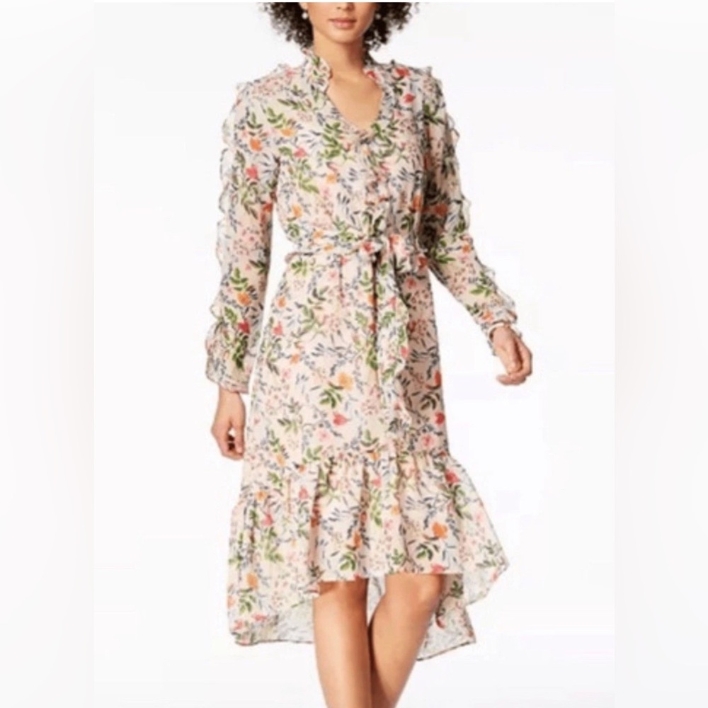 NWT Julia Jordan Floral Semi-Sheer Ruffle Trim Hi/Lo Dress